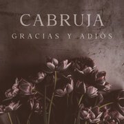 Gracias y adiós