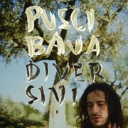 Diversivi