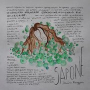 Sapone