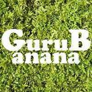 Guru Banana