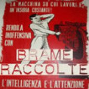 Brame raccolte