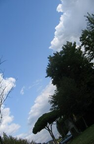 fotog 023