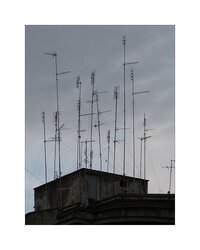 la città + piena di lui. la città è piena di lei