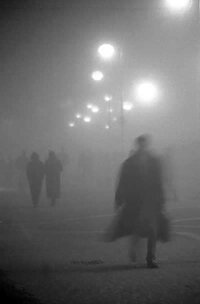 bu-nebbia[1]