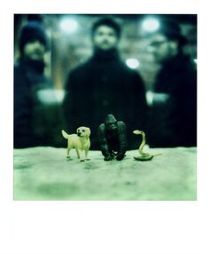 animali e vermi
