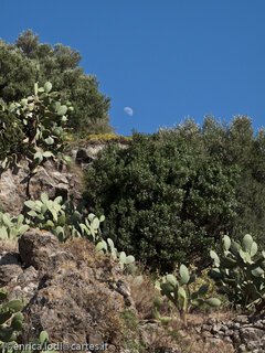 Pantelleria, l’isola che c’e’ (di Enrica Lodi)