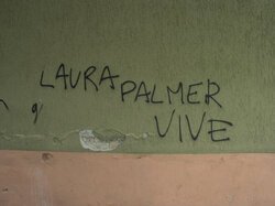 david lynch. mica cazzi