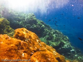 Pantelleria, l’isola che c’e’ (di Enrica Lodi)