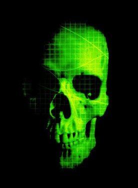 skull