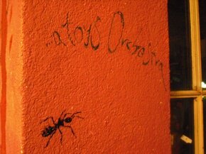 graffiti (darmstadt)