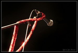 mic