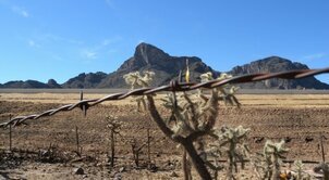 09Arizona2