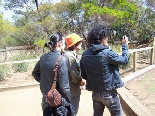Gli Zen versione turisti e Ufo versione reduce dal Vietnam
