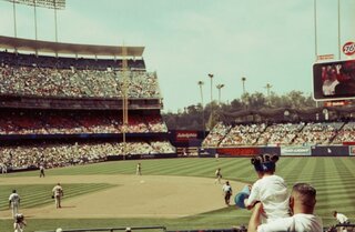 Baby Dodgers