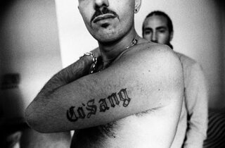 cosang (1).jpg