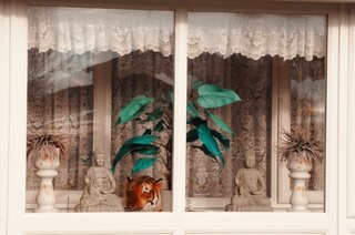 Mompracem Tiger