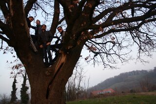 La quercia