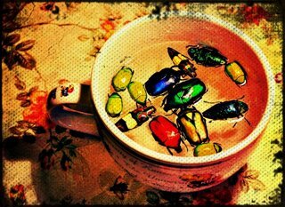 Bug Soup