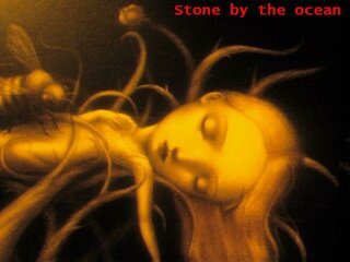 copert.stone by the ocean