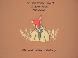 No Cold