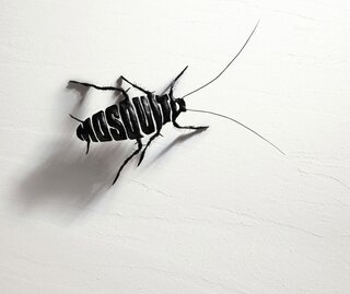 mosquito