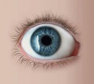 EVES Vision Icon