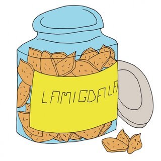LAMIGDALA can logo avatr rgb copia2.jpg