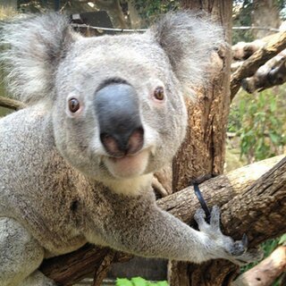Zoo