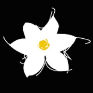 Le Narcisse
