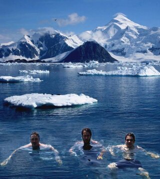 gruppo