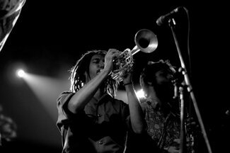Sycamore_live_01.jpg