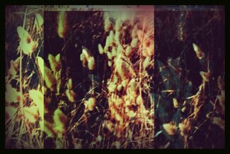 Colorblind squinter