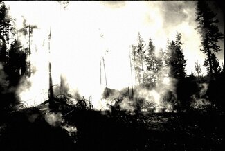 8a.jpg