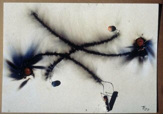 Quadro pirotecnico - bruciato