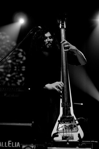 Sycamore_live_05.jpg