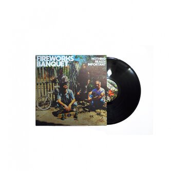 Nothing Really Important LP