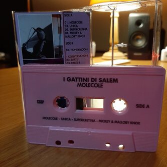 I Gattini Di Salem - Molecole