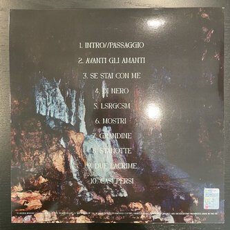 Querva - Nelle Nere Densità Del Parco VINILE