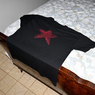 T-Shirt Red Star “ultrà” - Mafuel X Provvisorio