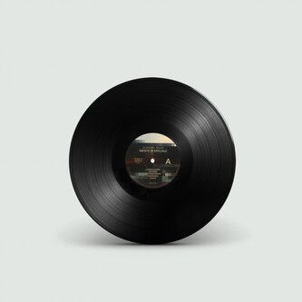 Elephant Brain - Niente di Speciale (LP)
