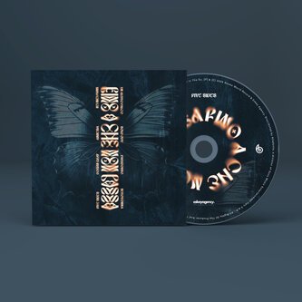 FINO A CHE NON PASSA - CD