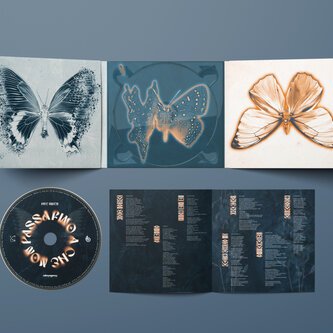 FINO A CHE NON PASSA - CD