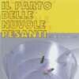 Sulle ali della mosca