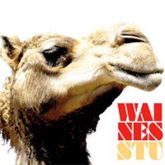 Copertina dell'album Stu, di Waines
