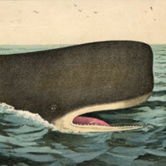Boat (inedito)