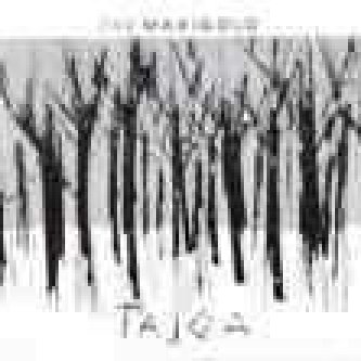 Tajga