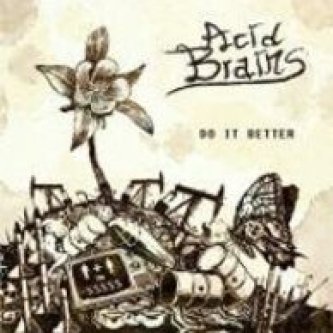 Copertina dell'album Do it better, di Acid Brains