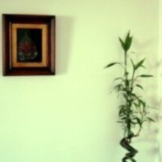 YOU SING FOR STUDIO APARTMENTS