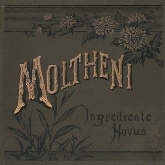 Ingrediente Novus