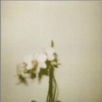 Copertina dell'album diana e la noia., di Diana e La Noia